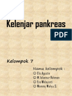 Kelenjar Pankreas