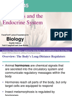 Teori Fisiologi Hewan "Hormones and the Endocrine System" by Bu Indri Garnasih