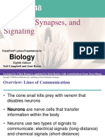 Teori Fisiologi Hewan "Neurons, Synapses, and Signaling" by Bu Indri Garnasih