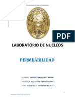 LABORATORIO N°3 - Permeabilidad.docx