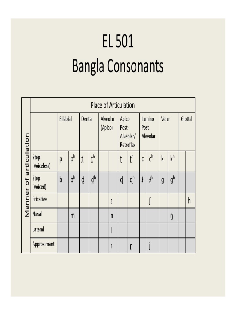 Photo inspiration: 2024 Of The Consonants In Bengali Reference: Bangla Consonants Articulation Chart