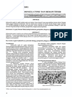 bakteri salmonella typhi dan demam tifodi.pdf
