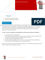 CEDEF_brulure.pdf