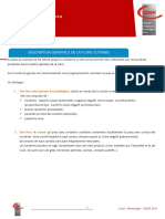 CEDEF_Flore cutanee (1).pdf