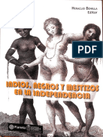 HunefeldtC-EsclavitudPercepcionesRaciales