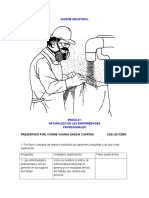 312609358 Primer Taller de Higiene Industrial Para Convertir