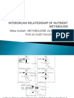 Interorgan Relationship of Nutrient Metabolismmetzatgizs2