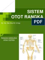 Sistem Otot Rangka
