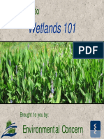 Wetlands 101 PP T