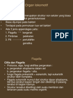 Teori Fisiologi Mikroba "Organ Lokomotif" by Bu Nani Radiastuti M.Si