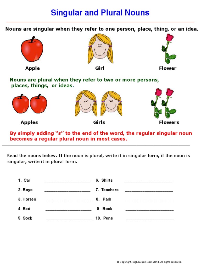 Singular and Plural Nouns | PDF | Foreign Language Studies