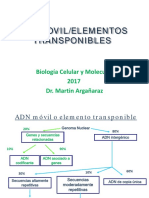 ADN móvil y evolución