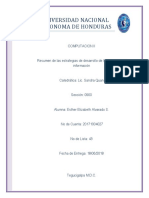 Estrategias de Desarrollo de Los Sistemas de Informacion