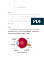 Keratitis Profunda 2