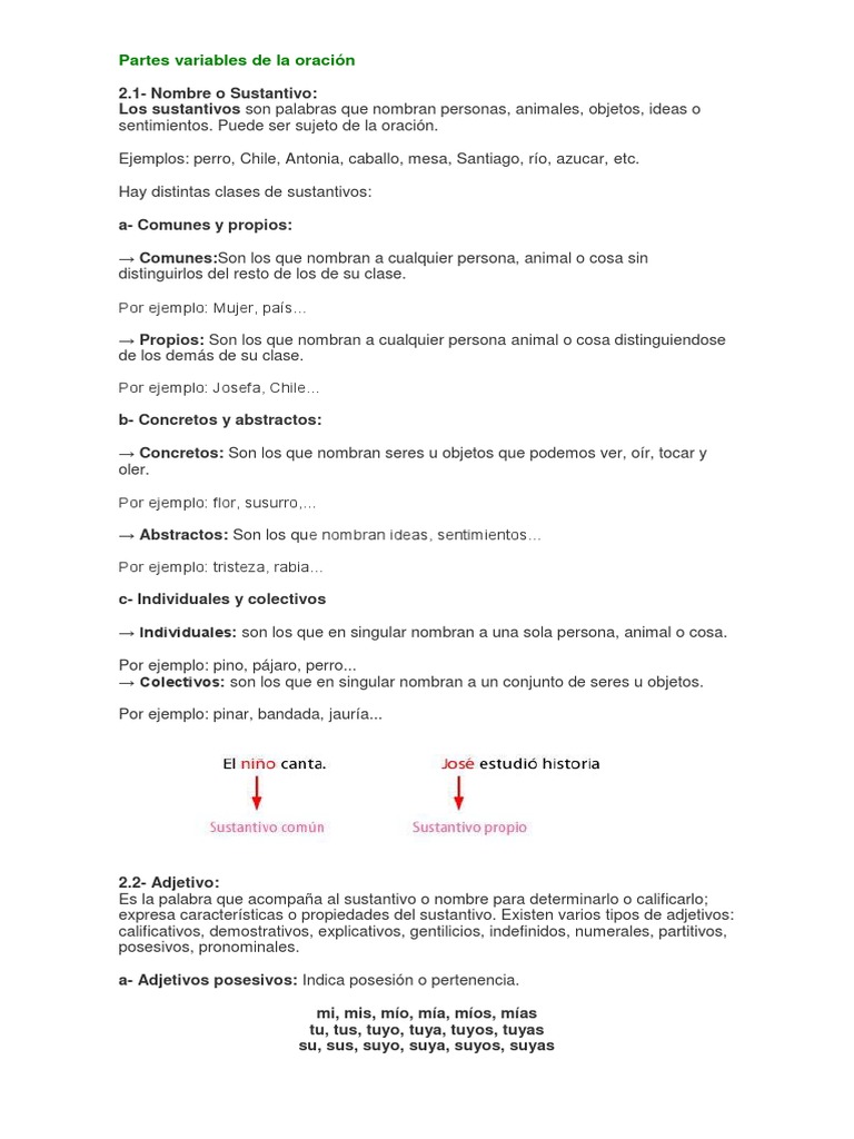 Partes Variables de La Oración | PDF | Adjetivo | Sustantivo