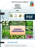 Plantas medicinales: principios activos y beneficios para la salud
