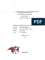 2009216699                          -DERECHO PROCESAL CONSTITUCIONAL.doc