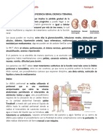 Insuficiencia Renal Cronica Terminal