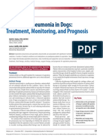 Aspiration Pneumonia in Dogs:: Treatment, Monitoring, and Prognosis