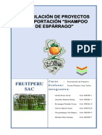 Proyecto de Exportacion de Shampoo de Esparragos