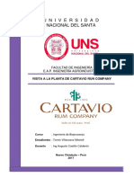 VISITA A LA PLANTA DE CARTAVIO RUN COMPANY.docx