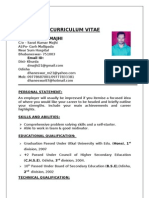 Curriculum Vitae