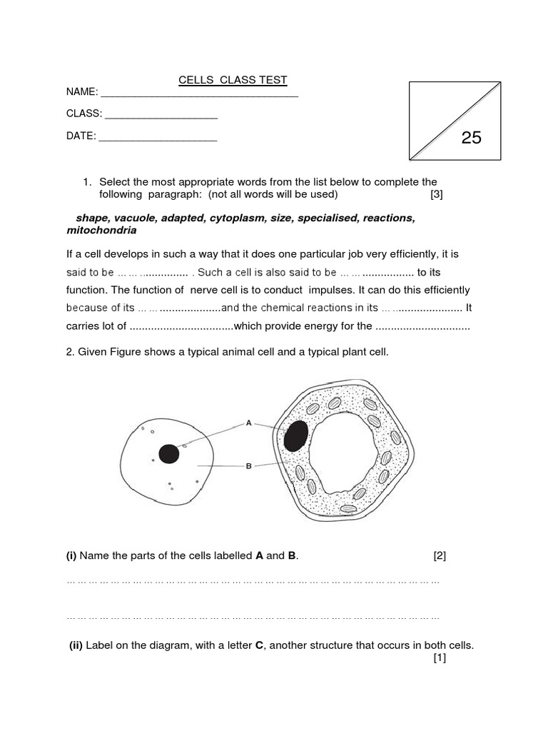 Cells Class Test | Vacuole | Cell (Biology)