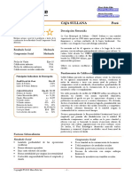 CAJA SULLANA 1209 Social Report (Spanish)