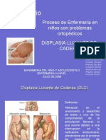 seminario DLC troncos viejos(ultimo)