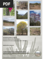 TRAVASSOS_Dissertacao de Mestrado Sobre o Cariri