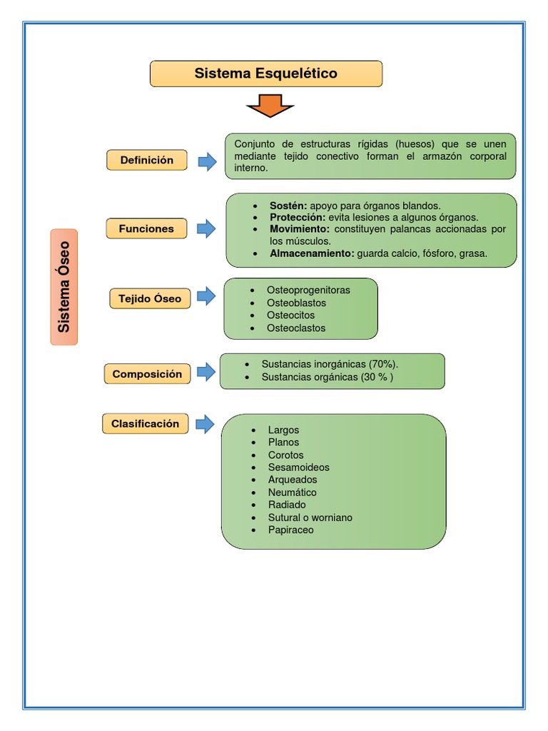 Mapas Sistema Oseo | PDF | Hueso | Articulación