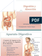 Digestión y Absorción 2017