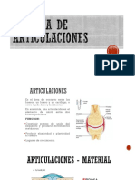 Sistema de Articulaciones