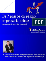 Os 7 Passos Da Gestão Empresarial Eficaz