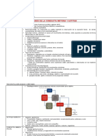 Psicopatologia - Signos y Sintomas - ANA PINEDA.2