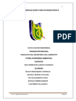 MINISTERIO DEL AMBIENTE.docx