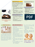Leaflet Program IA Edit