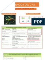 Reparacion Del Dna