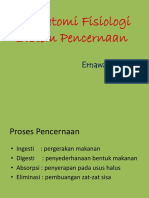 Anfis Sistem Pencernaan