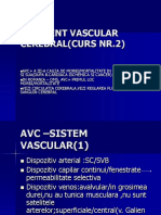 ACCIDENT VASCULAR CEREBRAL curs nr 2.ppt