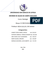 350224440-Trabajo-de-salida-de-campo-geologia-USIL.pdf