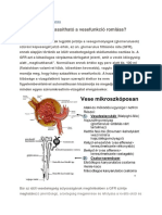 Hogyan Lassítható A Vesefunkció Romlása