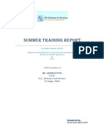 Summer Training Report