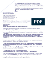 Despre Icoana Facatoare de Minuni Din Guadelupa