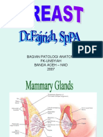 Anatomy Pathology of Breast Tissue and Breast Cancer