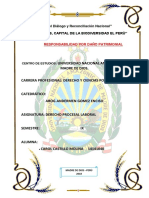 Auto Admisorio de La Demanda Laboral PDF