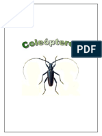 Insectos Gran Guia Coleoptero (Buenisimo Con Laminas Antiguas) PDF