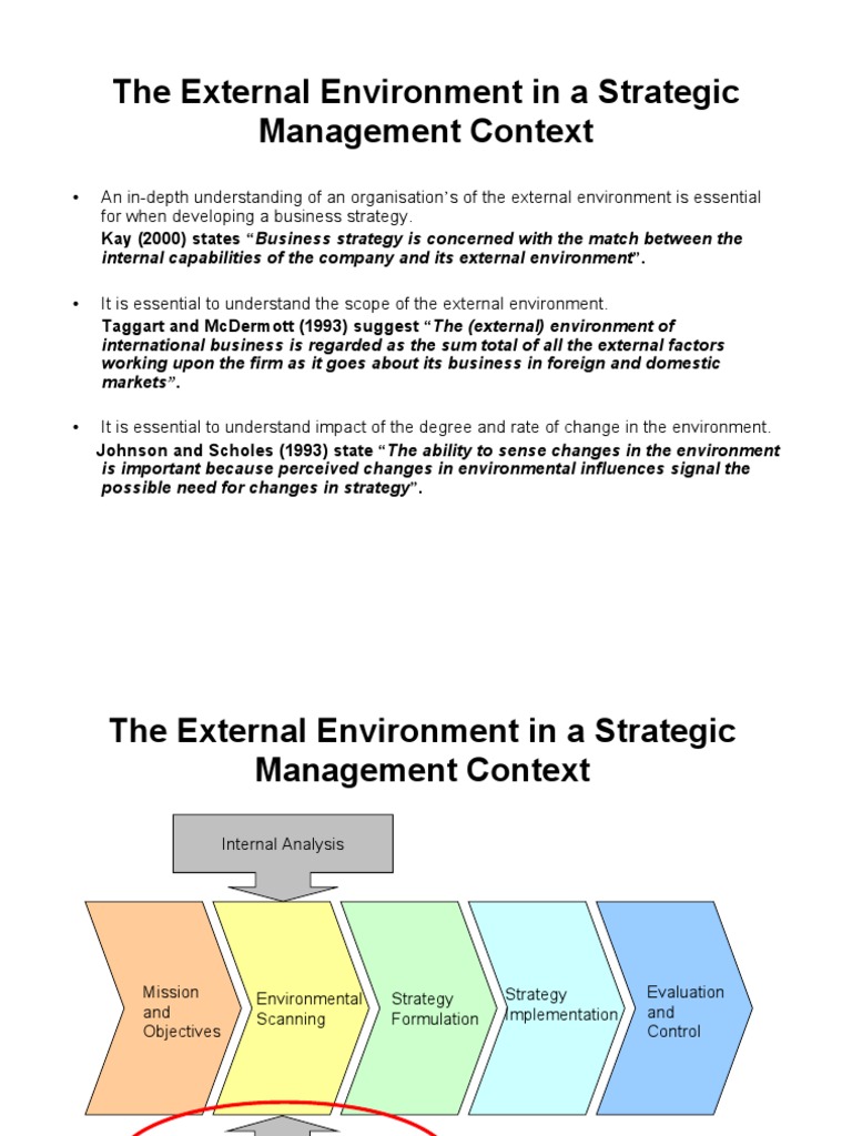 The External Environment in A Strategic Management Context | PDF ...