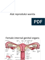 Alat Reproduksi Wanita