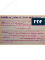 Silencio-Administrativo Esquema PDF